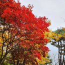 경기대학교 행정대학원 이미지