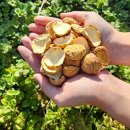 황율농장 이미지