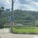 돌포레풀빌라 이미지