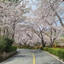 안민고개길 입구 이미지