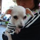 한결동물병원 이미지