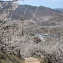 (주)대진여행사