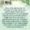 콩깍지 네이버블로그