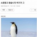 호호토스트 네이버블로그