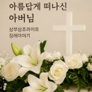 (주)안양장례식장 장의차 | – 안양메트로 장례식장에서 진행된 기독교 장례 후기 –