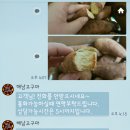 새순1농장 이미지