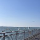 솔찬공원 이미지