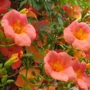 팔공노인복지관 이미지