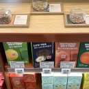 종로-신영-종로-영-107 | 웰니스 전문 올리브영 올리브베러 방문 후기 올리브베러 광화문점