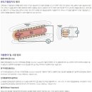 다원시스-주가가 급등하니 이런 루머가 도네요 이미지