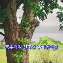 재밌는 인문학 속의 사주명리학 - 원리 | [​오늘의 사주 명리학] 풍수지리 한국적 주거입지론에 대해 알아보겠습니다. (전화 사주상담)