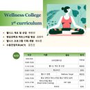 웰니스9 이미지