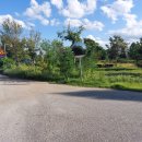 금와습지 생태공원 | 삼례 금와습지생태공원 방문기(2025.09.21)