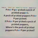 곱창앤포차 이미지