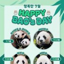 행운랜드 | 애버랜드 루이후이바오 프라이빗 판다 생일파티 당첨 후기