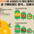 향긋농장 이미지