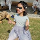 이천시 모가야구장 | 이천 쌀문화축제 주차 리뷰 가을나들이 후기 아이와 가볼만한곳