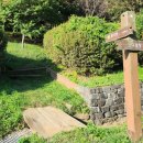 초록산등산로 이미지