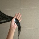 그날헤어미용실 | 트리트먼트 추천: 박준뷰티랩 LPP 프로틴 단백질 1000ml 미용실 헤어팩 후기 손상모 필수템