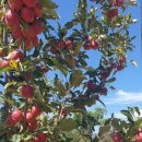 선산유치원 이미지