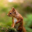 나래유치원 이미지