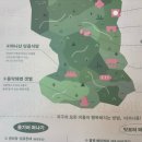 강화도 단체 식당 마니산단골식당ㅣ젓국갈비전골 솔직후기