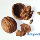피아체헤어