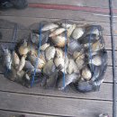 산들식당 이미지