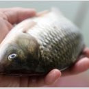 음성경보 이미지