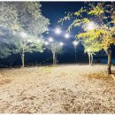 마이산 가자캠핑장 이미지