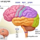 본힐링하우스