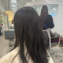 다겸헤어 네이버블로그