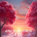 아름다움이 티가나다 티나
