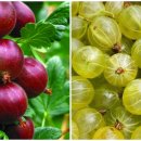 푸른샘농장 이미지