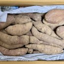 아어가지 이미지