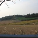 선창가 민박 Daum카페