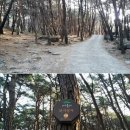 송림길삼거리 이미지