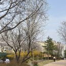 지산행복마트 | 아산으로 이사왔어요! 아산 새댁 일상 / 웬유바이트 / 영구크린 이사 / 지산공원 / 육하원칙 / 혼인신고..!
