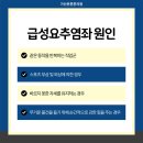 바로튼튼정형외과의원 이미지