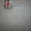 까꼬뽀꼬 이미지