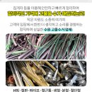 성모플러스이비인후과의원 이미지