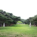 정현지 카카오 검색결과