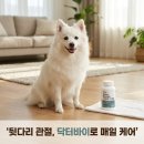 닥터바이 힙앤조인트 스위프트 강아지 관절 영양제 슬개골 탈구 무릎 고관절 케어