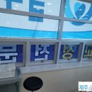 제주늘푸른치과의원 이미지