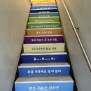 인하병원 | 종로) 탈모 성지 병원, 30대 여성 내돈내산 탈모약 후기