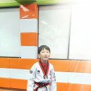 영남대 삼성태권도 이미지