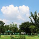 패밀리공원 이미지