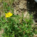 영락농원 -5 이미지