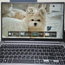 피씨락 | [내돈내산] 삼성 갤럭시북4 NT750XGR 구매후기