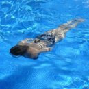 덴탈맑음기공소 이미지